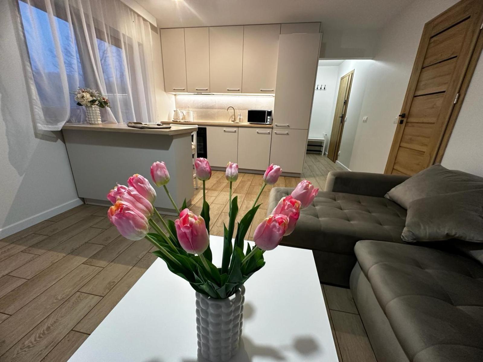 Apartamenty Biala Gran ซาโกปาเน ภายนอก รูปภาพ