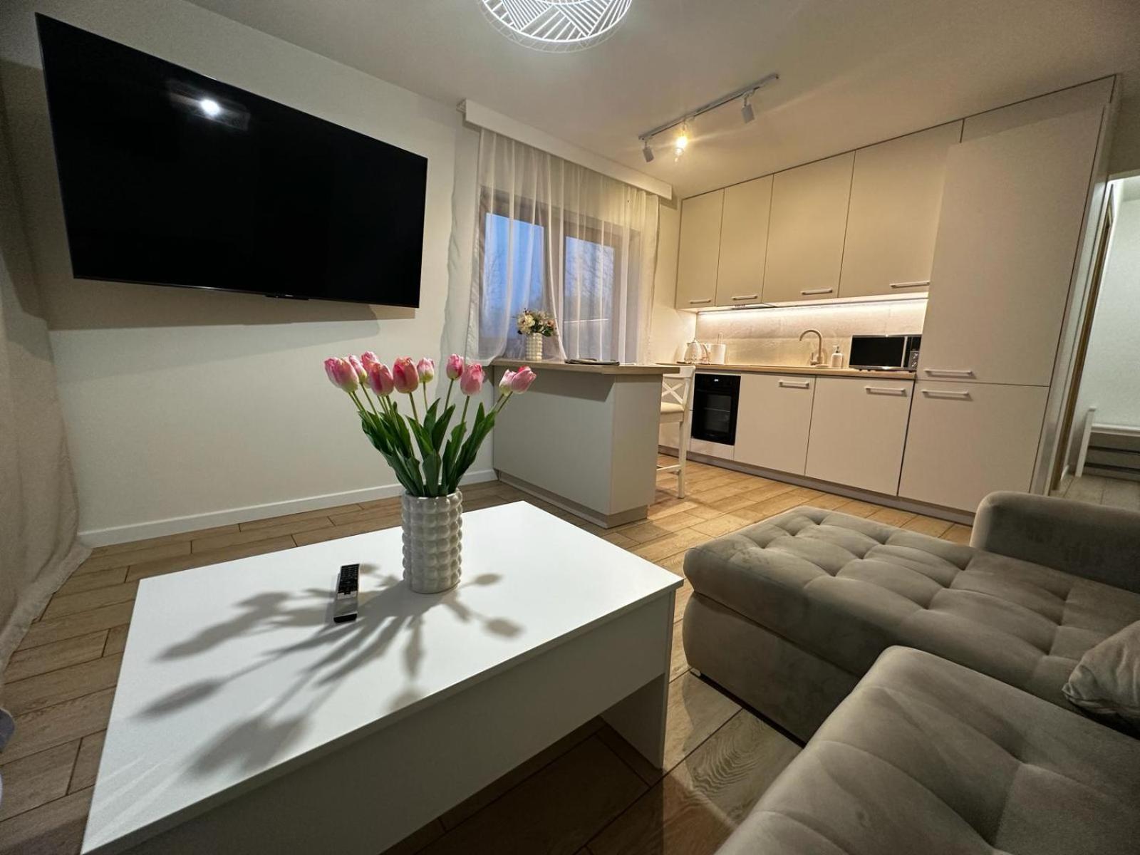 Apartamenty Biala Gran ซาโกปาเน ภายนอก รูปภาพ